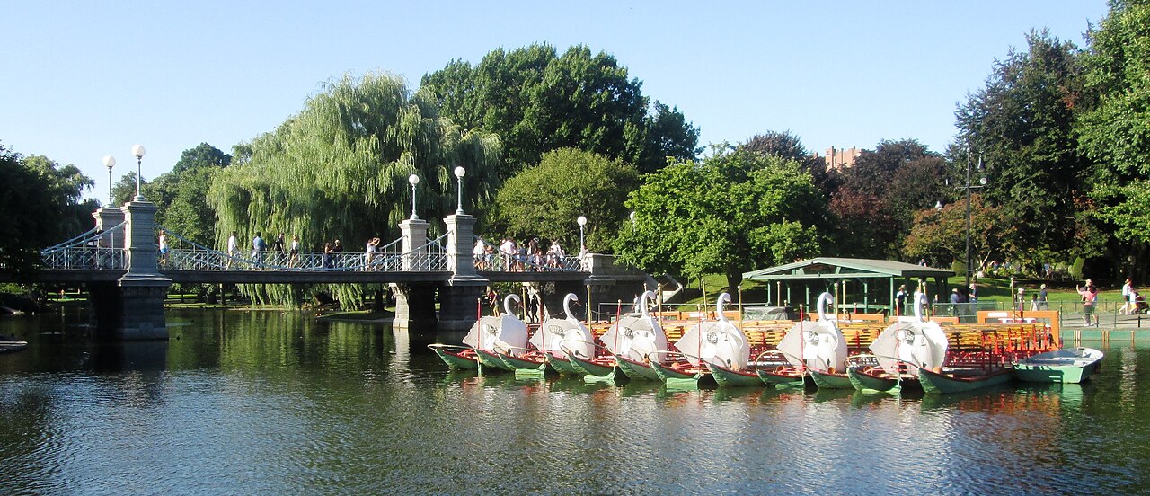 Swan Boats gliding past the small suspension bridge over the lagoon in the Boston Public Garden.